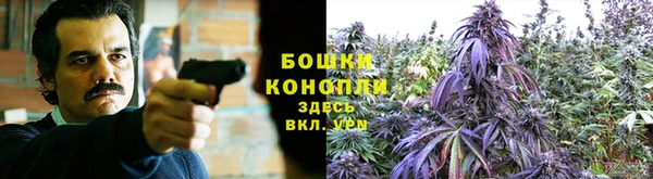 ALPHA-PVP Аркадак