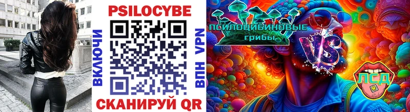 Галлюциногенные грибы Psilocybine cubensis  Теберда 